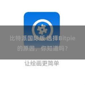 比特派国际版 选择Bitpie的原因，你知道吗？
