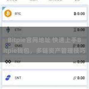Bitpie官网地址 快速上手Bitpie钱包，多链资产管理技巧