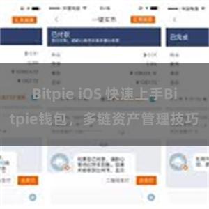 Bitpie iOS 快速上手Bitpie钱包，多链资产管理技巧
