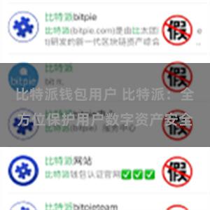 比特派钱包用户 比特派：全方位保护用户数字资产安全
