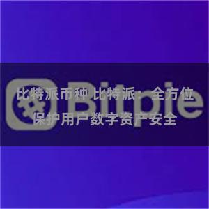 比特派币种 比特派：全方位保护用户数字资产安全