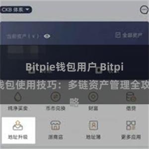 Bitpie钱包用户 Bitpie钱包使用技巧：多链资产管理全攻略