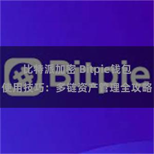 比特派加密 Bitpie钱包使用技巧：多链资产管理全攻略