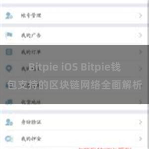 Bitpie iOS Bitpie钱包支持的区块链网络全面解析