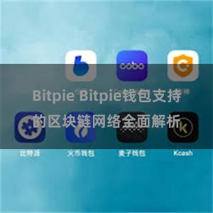 Bitpie Bitpie钱包支持的区块链网络全面解析