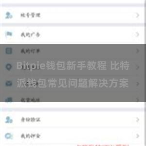 Bitpie钱包新手教程 比特派钱包常见问题解决方案