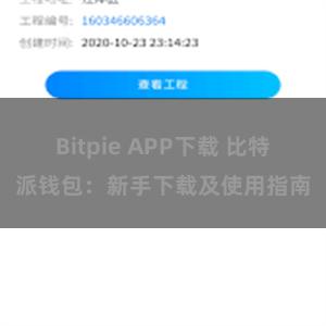 Bitpie APP下载 比特派钱包：新手下载及使用指南