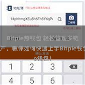 Bitpie热钱包 轻松管理多链资产，教你如何快速上手Bitpie钱包！