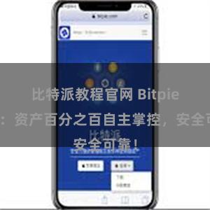 比特派教程官网 Bitpie钱包：资产百分之百自主掌控，安全可靠！