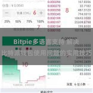 Bitpie多语言支持 解决比特派钱包使用问题的实用技巧