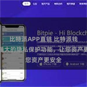 比特派APP直链 比特派钱包：强大的隐私保护功能，让您资产更安全
