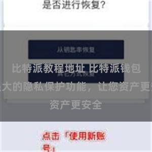 比特派教程地址 比特派钱包：强大的隐私保护功能，让您资产更安全
