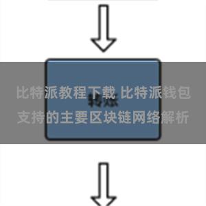比特派教程下载 比特派钱包支持的主要区块链网络解析