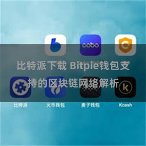 比特派下载 Bitpie钱包支持的区块链网络解析