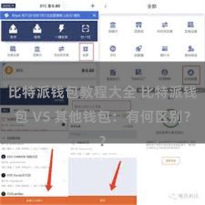 比特派钱包教程大全 比特派钱包 VS 其他钱包：有何区别？