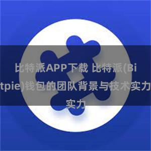 比特派APP下载 比特派(Bitpie)钱包的团队背景与技术实力