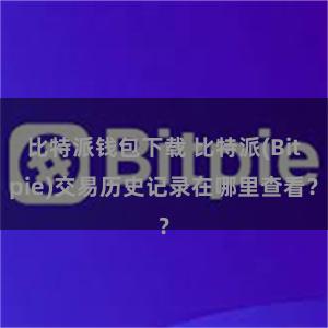 比特派钱包下载 比特派(Bitpie)交易历史记录在哪里查看？