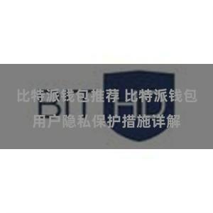比特派钱包推荐 比特派钱包用户隐私保护措施详解
