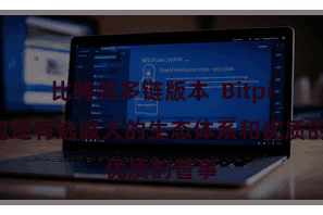 比特派多链版本  Bitpie钱包还有选藏大的生态体系和优质的管事