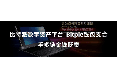 比特派数字资产平台  Bitpie钱包支合手多链金钱贬责