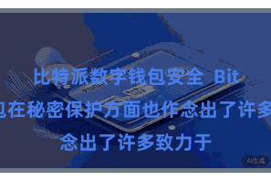 比特派数字钱包安全  Bitpie钱包在秘密保护方面也作念出了许多致力于